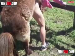 An exclusive donkey porn xx film shows a donkey fucking wife with assistance from her husband.